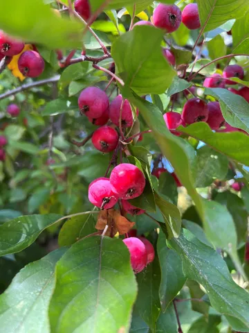 $399,900 | 14199 Riverbend Trail, Thief River Falls, MN 56701