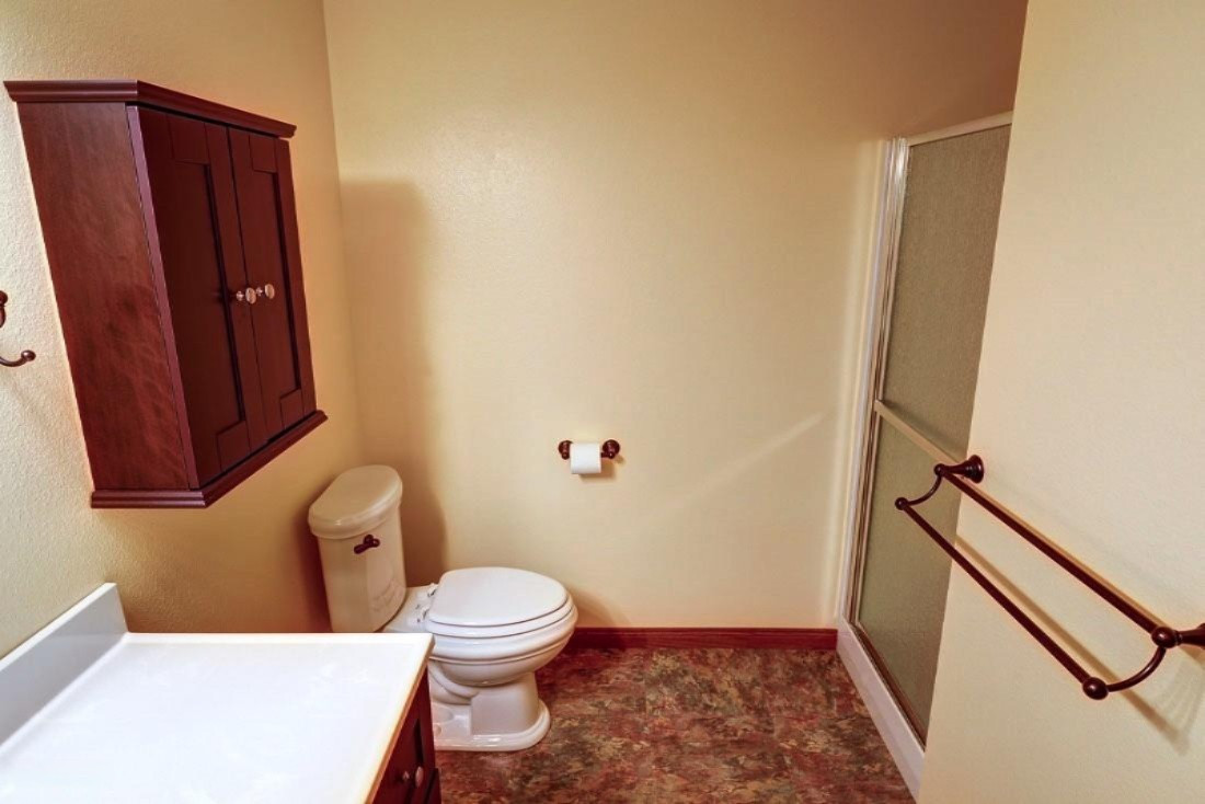 14213 Rivers Way Big Rapids, MI 49307 - Photo 23 of 25 LHP_3849_Lower_Level_Bath
