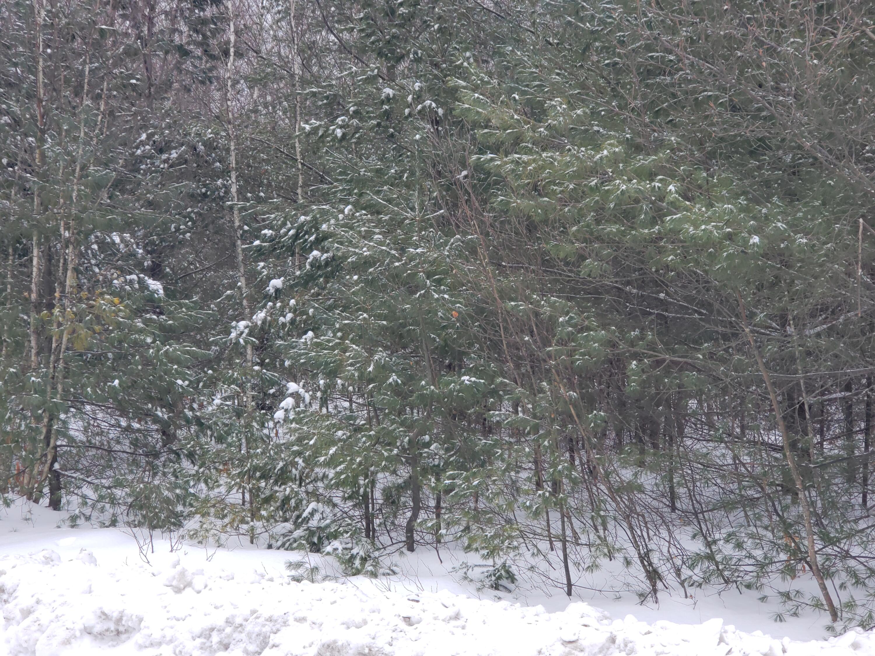 0 Cascade Leisure Park Road Farmington, ME 04938 - Photo 5 of 7 20220119_114809