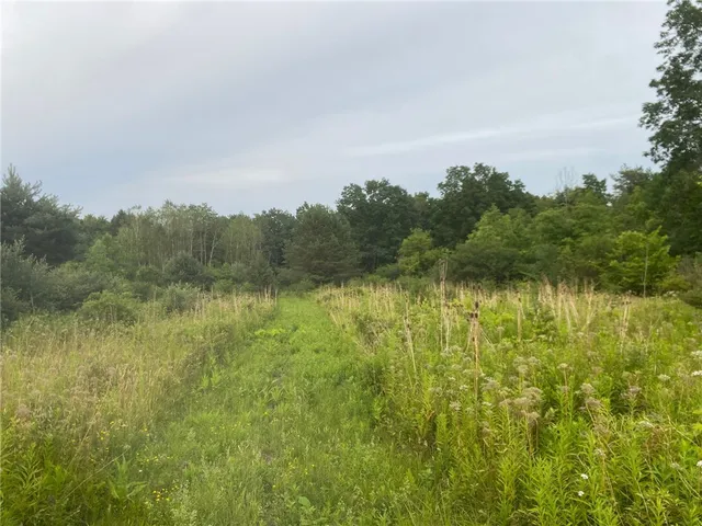 $329,000 | 4206 County Road 29, Rock Stream, NY 14878