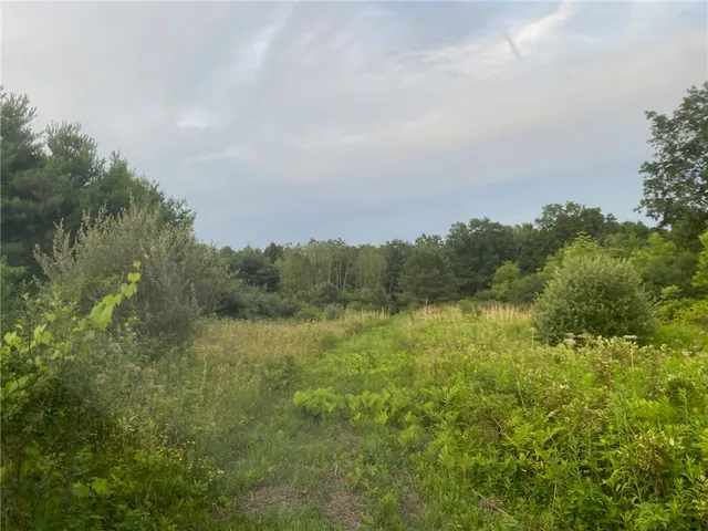 $329,000 | 4206 County Road 29, Rock Stream, NY 14878