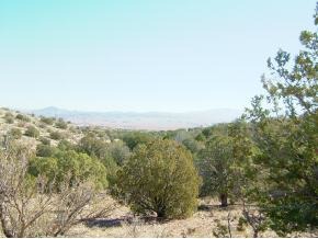 0 West Valley View Road Chino Valley, AZ 86323 - Photo 3 of 3 Additional Photo