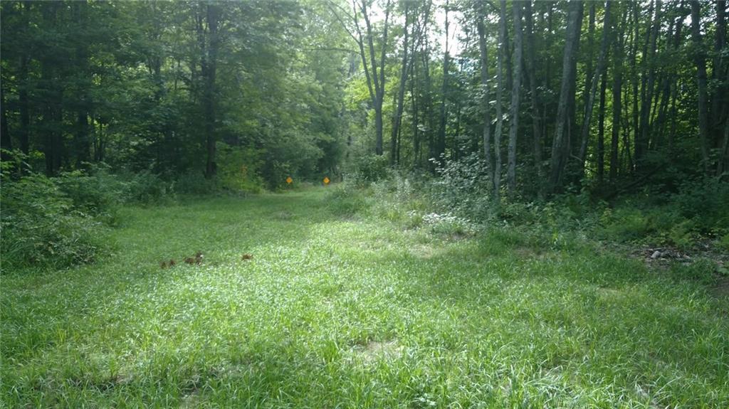 36 Flaggy Meadow Road Gorham, ME 04038 - Photo 10 of 22 Photo