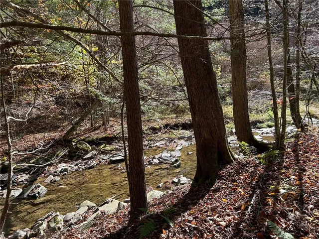 $174,900 | 17236 State Highway, Sidney, NY 13838