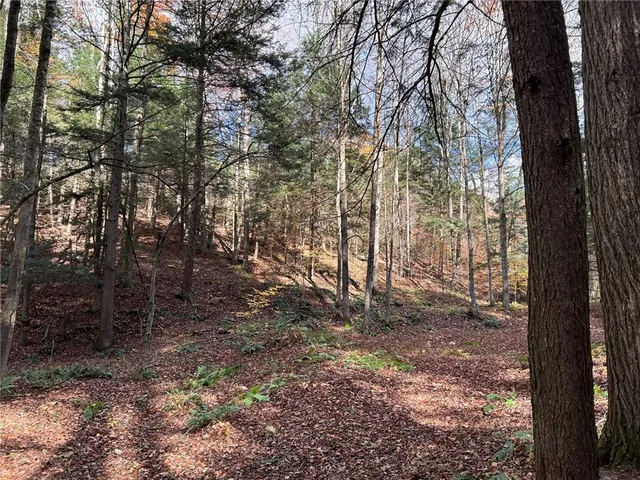 $174,900 | 17236 State Highway, Sidney, NY 13838