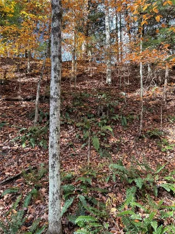 $174,900 | 17236 State Highway, Sidney, NY 13838