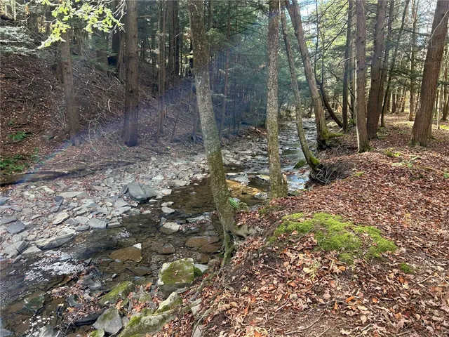 $174,900 | 17236 State Highway, Sidney, NY 13838