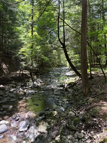 $174,900 | 17236 State Highway, Sidney, NY 13838