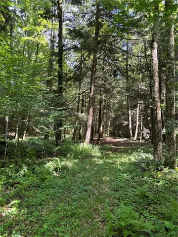 $174,900 | 17236 State Highway, Sidney, NY 13838