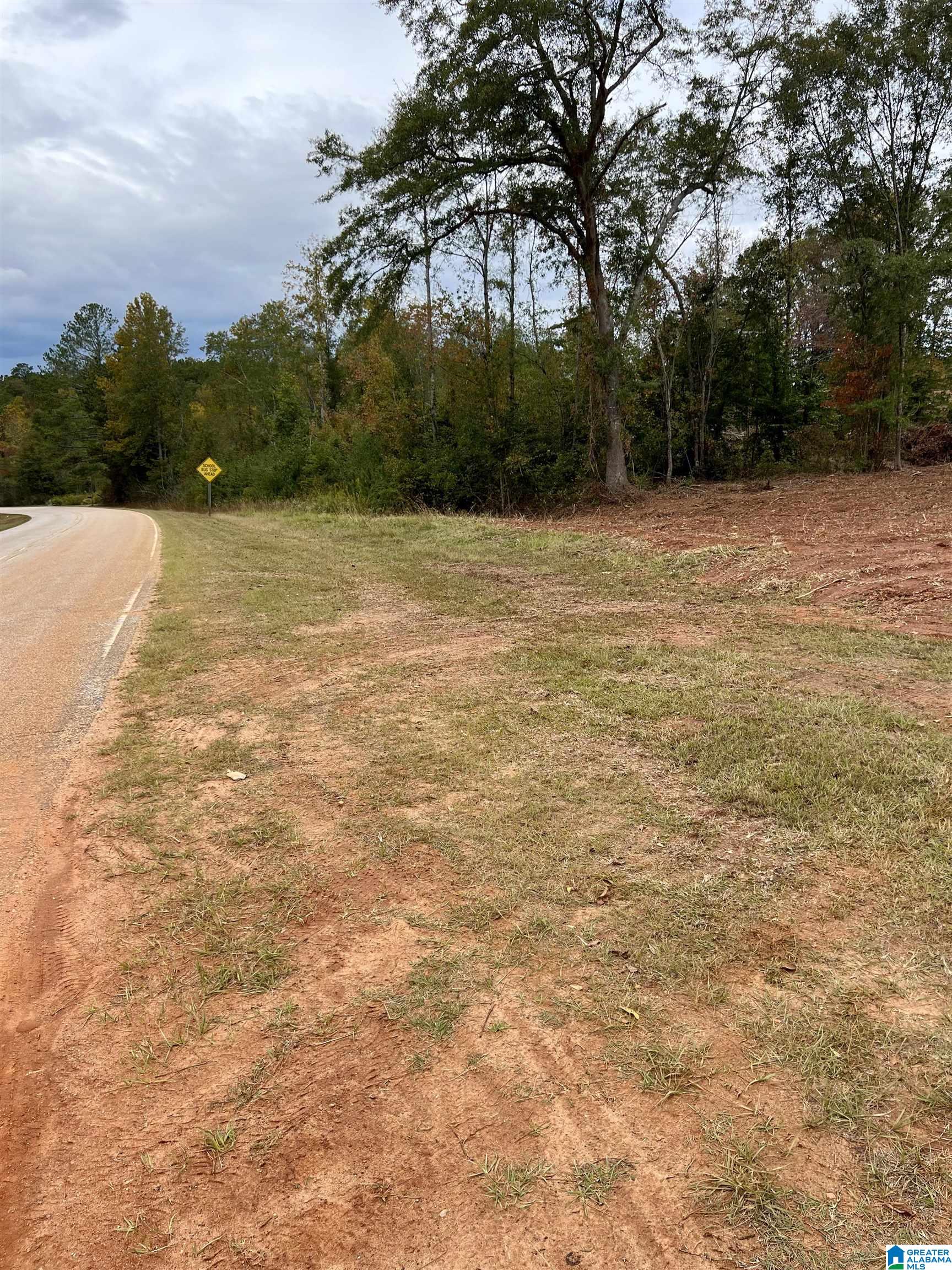 0 County Road 4 Wedowee, AL 36278 - Photo 23 of 24