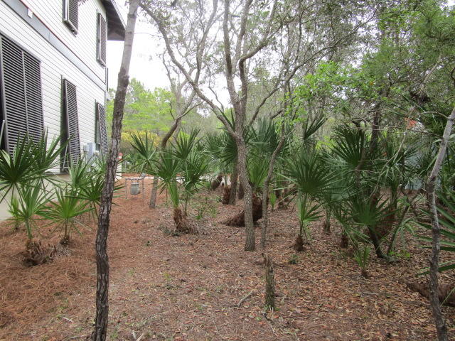 315 Wilderness Way Santa Rosa Beach, FL 32459 - Photo 5 of 8 IMG_0342