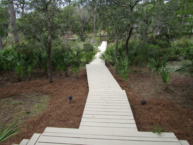 315 Wilderness Way Santa Rosa Beach, FL 32459 - Photo 6 of 8 IMG_0343