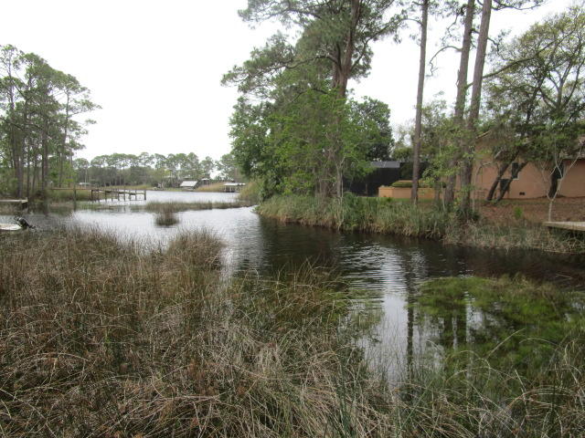 315 Wilderness Way Santa Rosa Beach, FL 32459 - Photo 8 of 8 IMG_0347