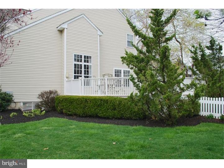 718 Scott Lane Wallingford, PA 19086 - Photo 23 of 24 Gallery Image 23