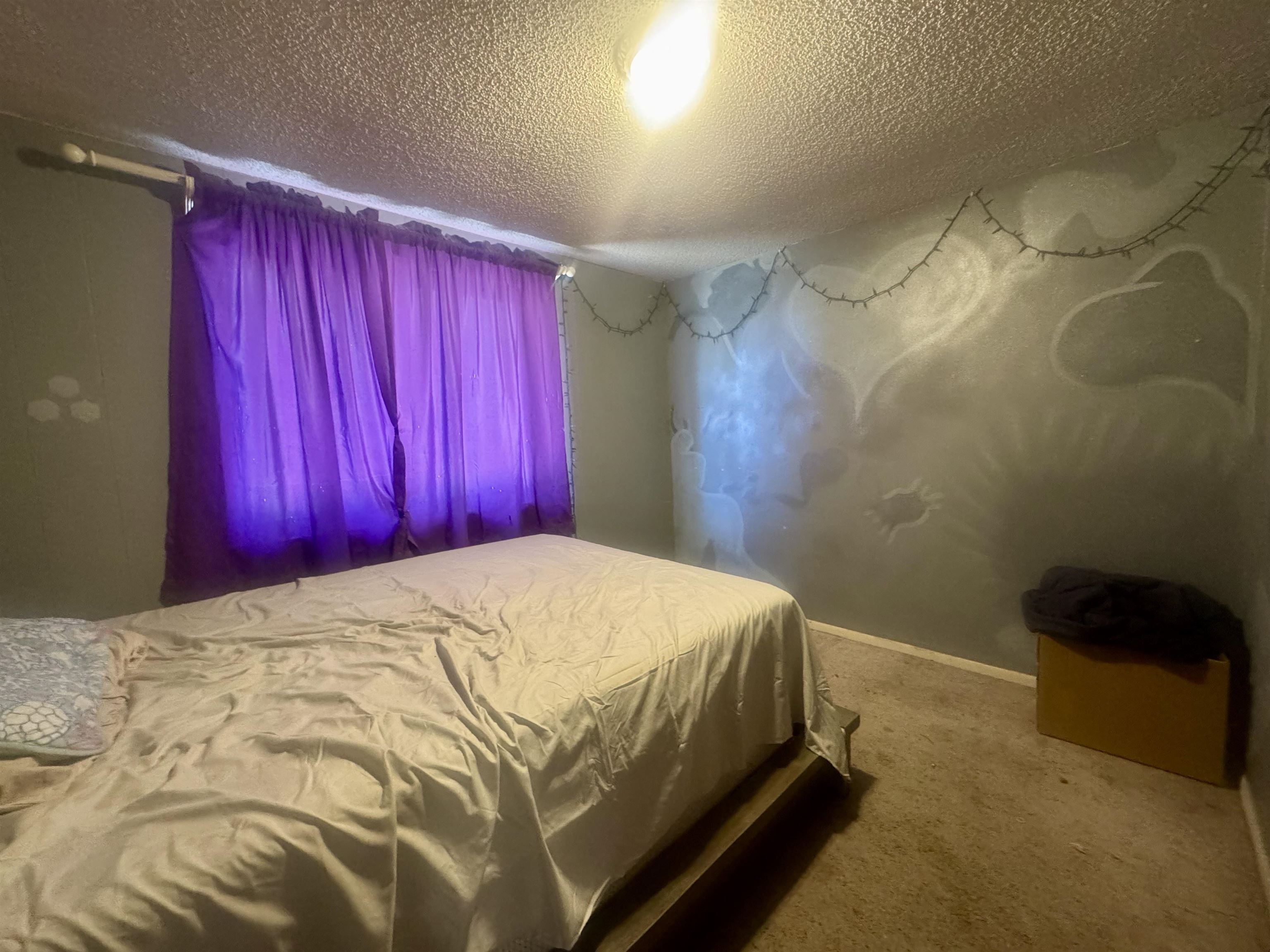 2999 D D 1/4 Road Grand Junction, CO 81504 - Photo 7 of 13