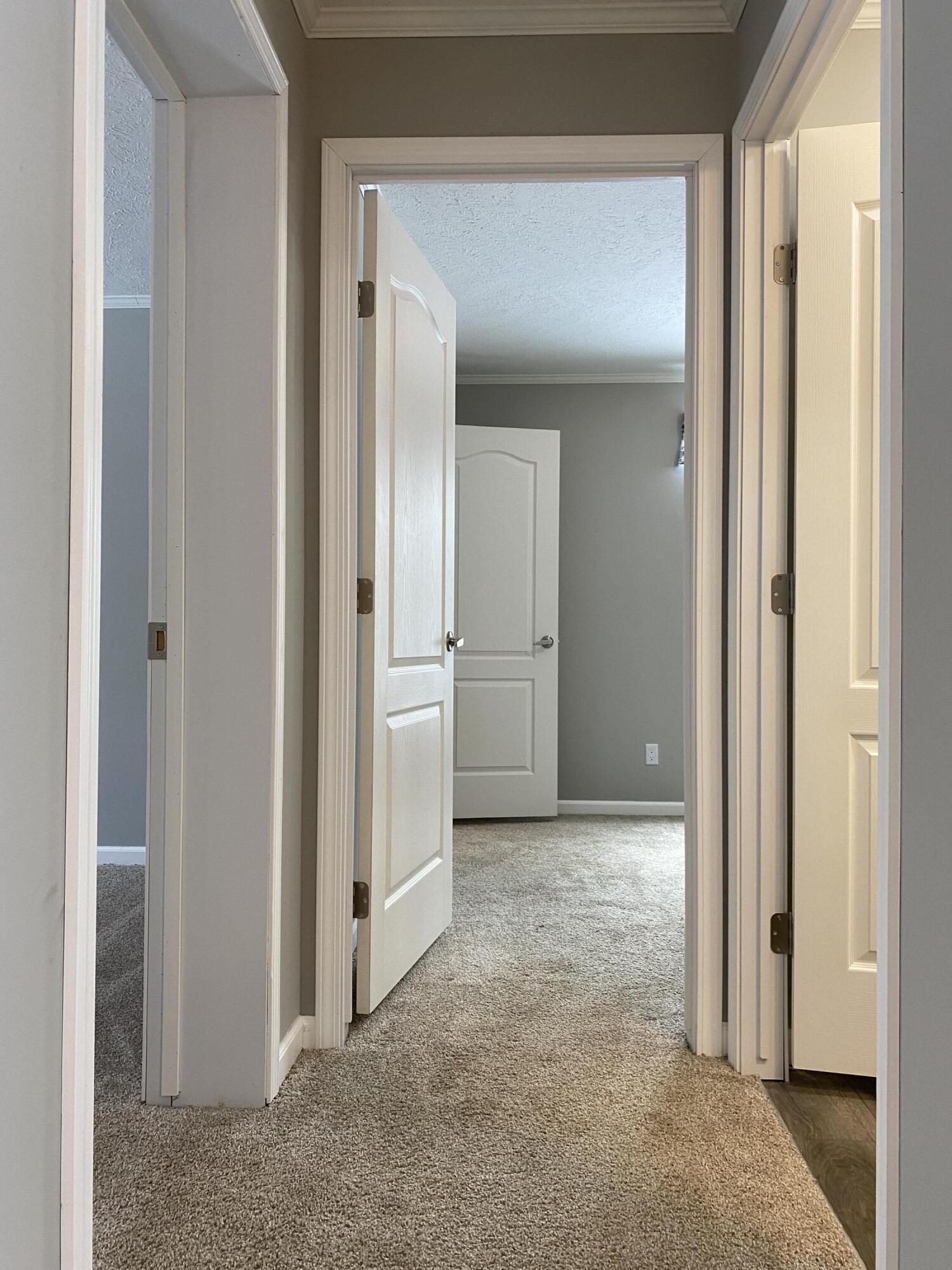 129 9th Street Morley, MI 49336 - Photo 19 of 31 IMG_0755