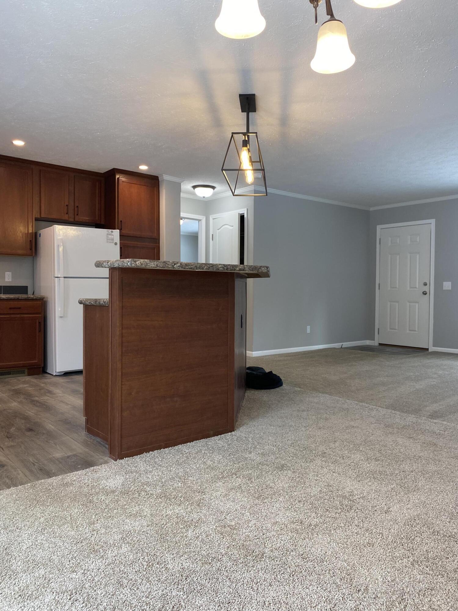 129 9th Street Morley, MI 49336 - Photo 8 of 31 IMG_0751