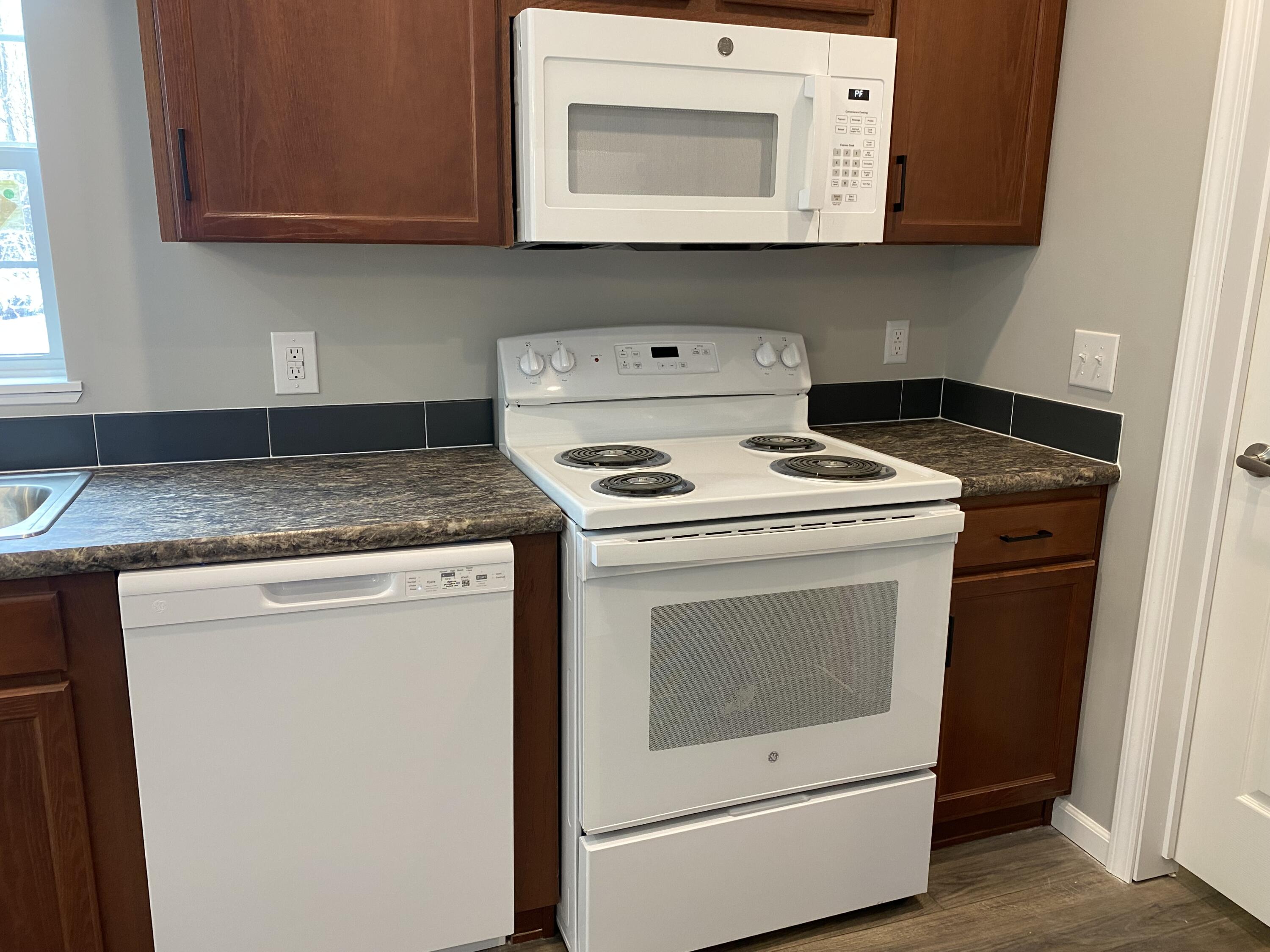 129 9th Street Morley, MI 49336 - Photo 9 of 31 IMG_0748