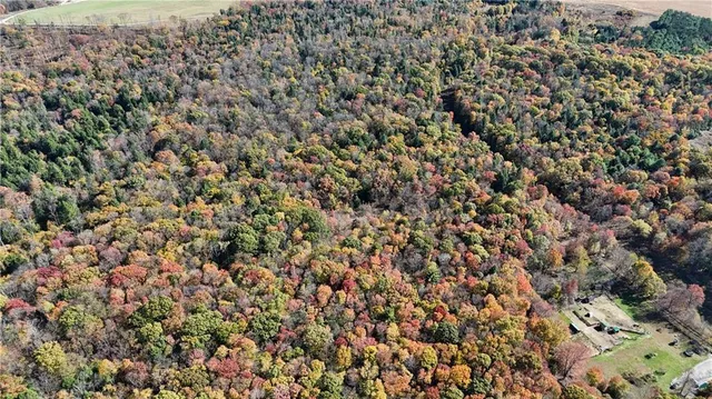 $225,000 | 50-acres Along Bird Lane, Strongstown, PA 15957