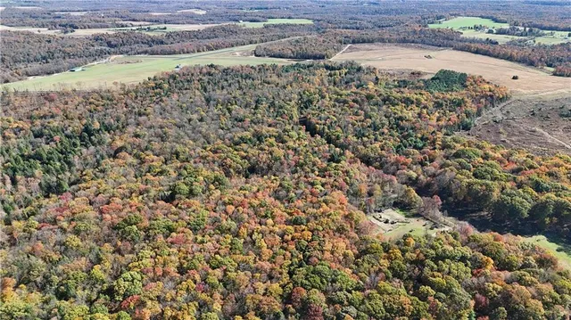 $225,000 | 50-acres Along Bird Lane, Strongstown, PA 15957