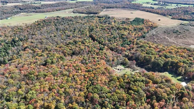 $225,000 | 50-acres Along Bird Lane, Strongstown, PA 15957