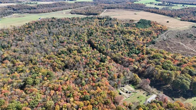 $225,000 | 50-acres Along Bird Lane, Strongstown, PA 15957