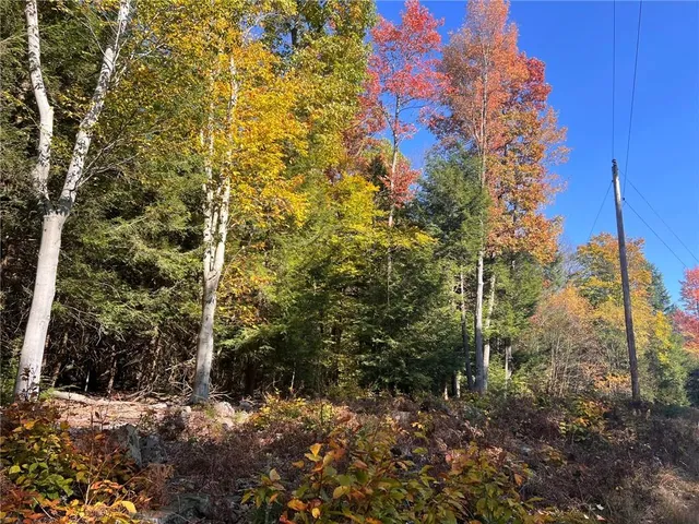 $225,000 | 50-acres Along Bird Lane, Strongstown, PA 15957