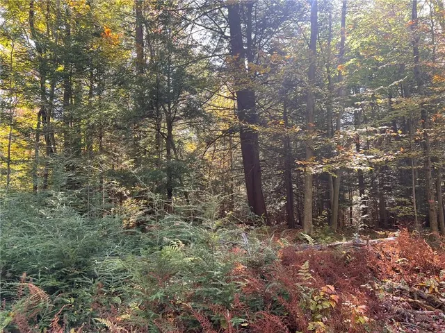 $225,000 | 50-acres Along Bird Lane, Strongstown, PA 15957