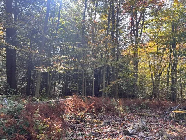 $225,000 | 50-acres Along Bird Lane, Strongstown, PA 15957