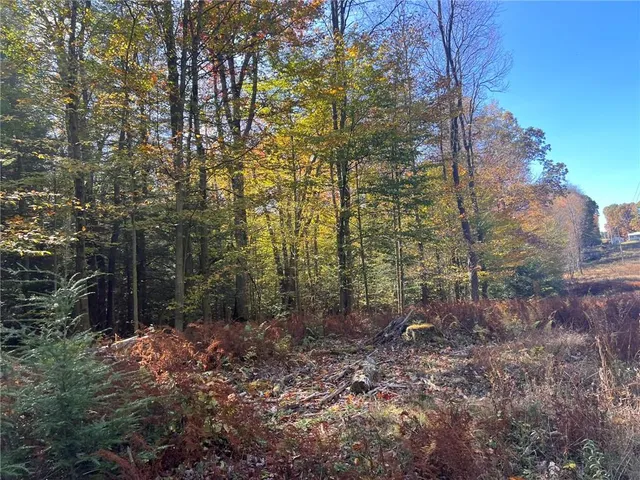 $225,000 | 50-acres Along Bird Lane, Strongstown, PA 15957