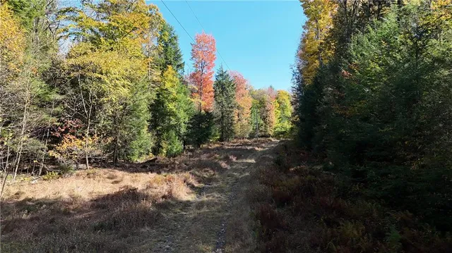 $225,000 | 50-acres Along Bird Lane, Strongstown, PA 15957