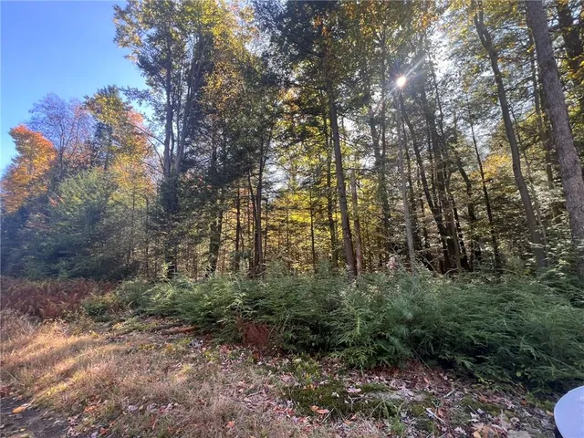 $225,000 | 50-acres Along Bird Lane, Strongstown, PA 15957