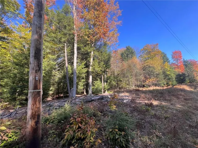 $225,000 | 50-acres Along Bird Lane, Strongstown, PA 15957