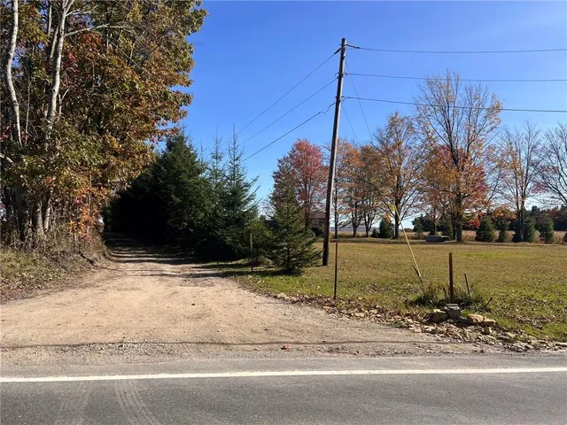 $225,000 | 50-acres Along Bird Lane, Strongstown, PA 15957