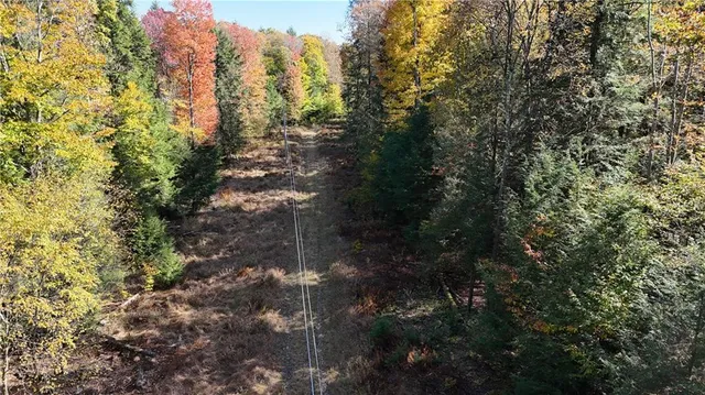 $225,000 | 50-acres Along Bird Lane, Strongstown, PA 15957