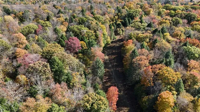 $225,000 | 50-acres Along Bird Lane, Strongstown, PA 15957