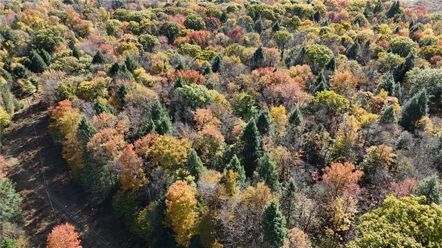 $225,000 | 50-acres Along Bird Lane, Strongstown, PA 15957