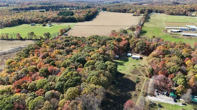 $225,000 | 50-acres Along Bird Lane, Strongstown, PA 15957