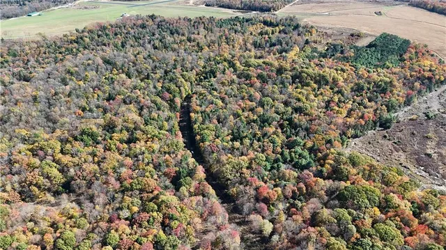 $225,000 | 50-acres Along Bird Lane, Strongstown, PA 15957