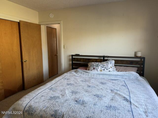 61 Rivers Road Smith, NV 89430 - Photo 39 of 57 a bedroom with a bed and a cabinet