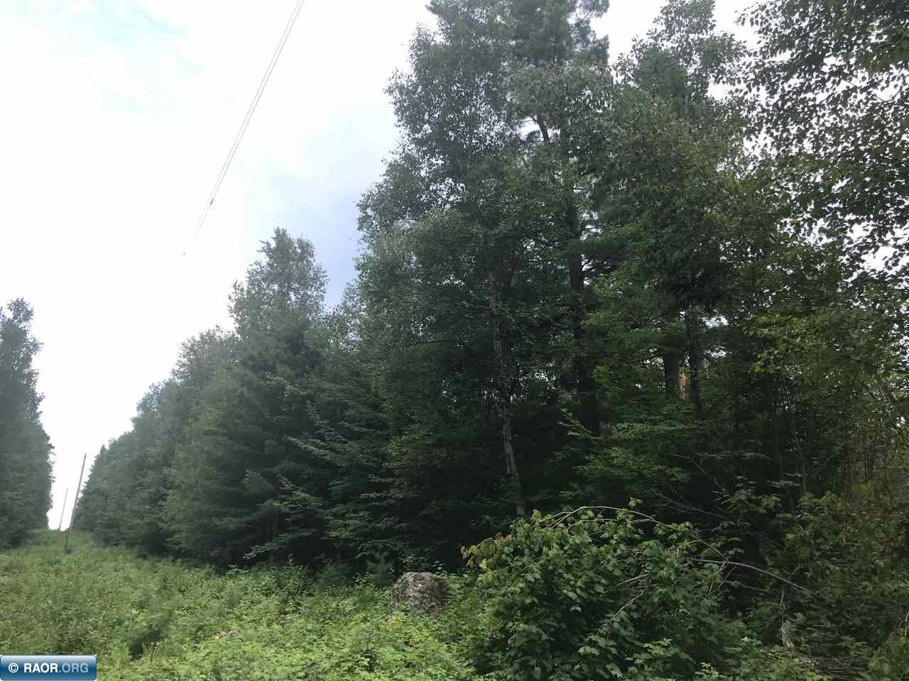 Parcels F & G Niles Bay Forest Road Buyck, MN 55771 - Photo 2 of 5