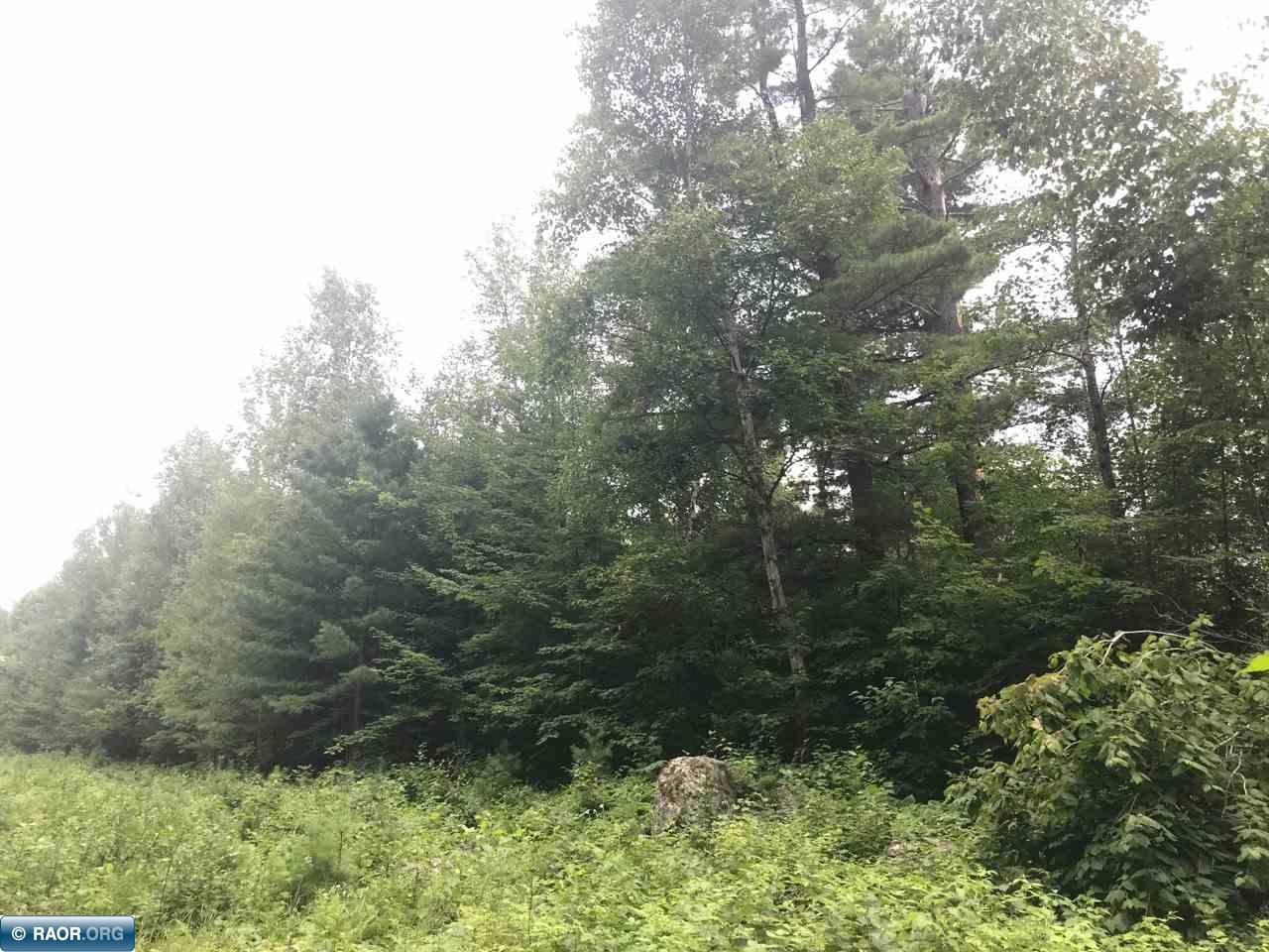 Parcels F & G Niles Bay Forest Road Buyck, MN 55771 - Photo 3 of 5