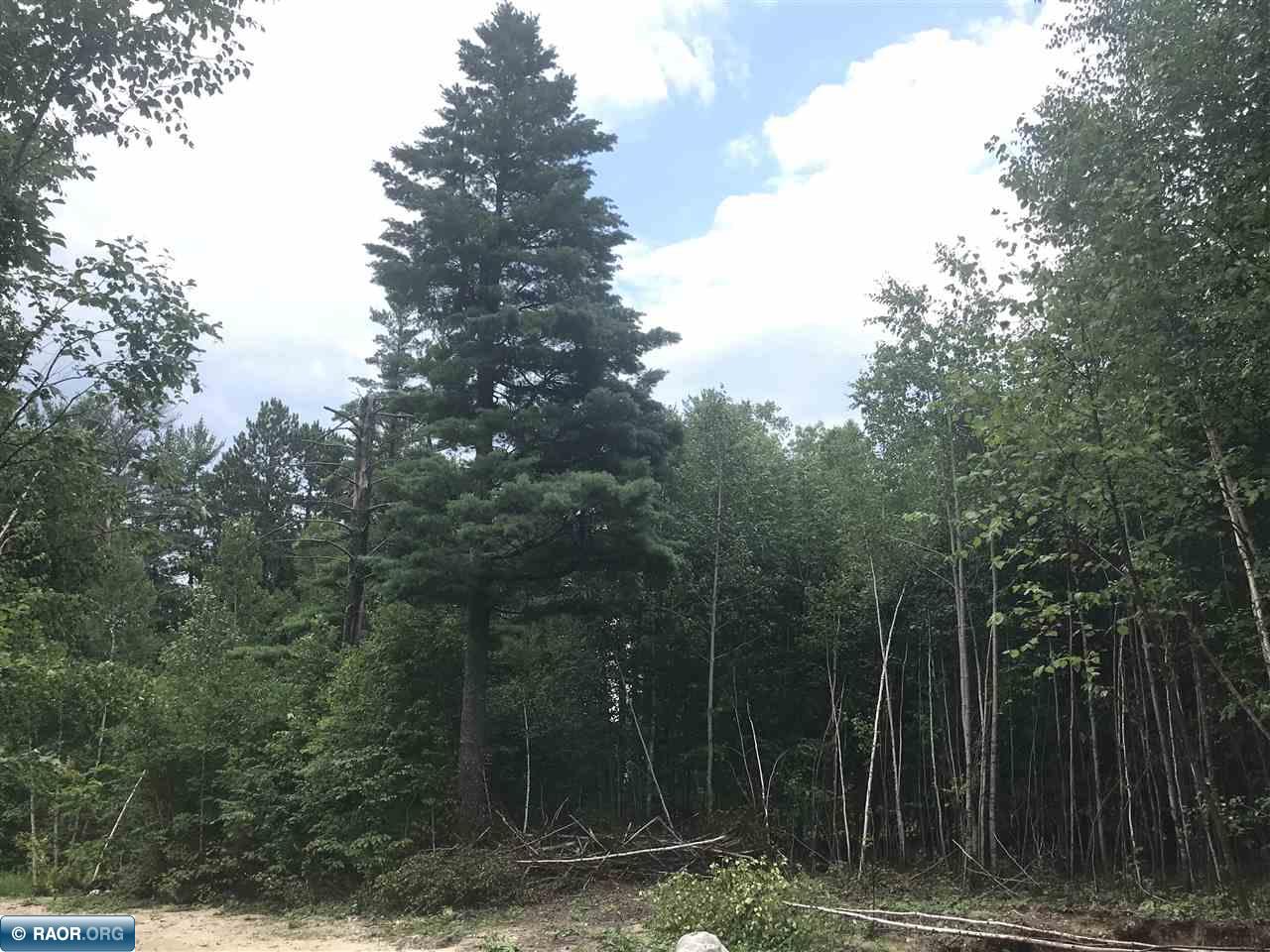 Parcels F & G Niles Bay Forest Road Buyck, MN 55771 - Photo 4 of 5
