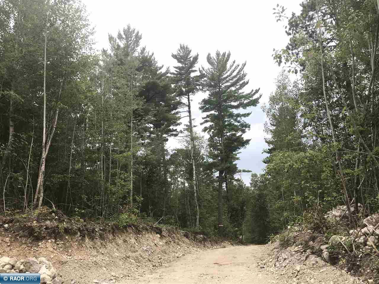 Parcels F & G Niles Bay Forest Road Buyck, MN 55771 - Photo 5 of 5