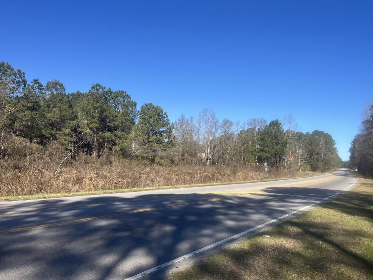 0 Robertson Walterboro, SC 29488 - Photo 3 of 7 IMG_2362