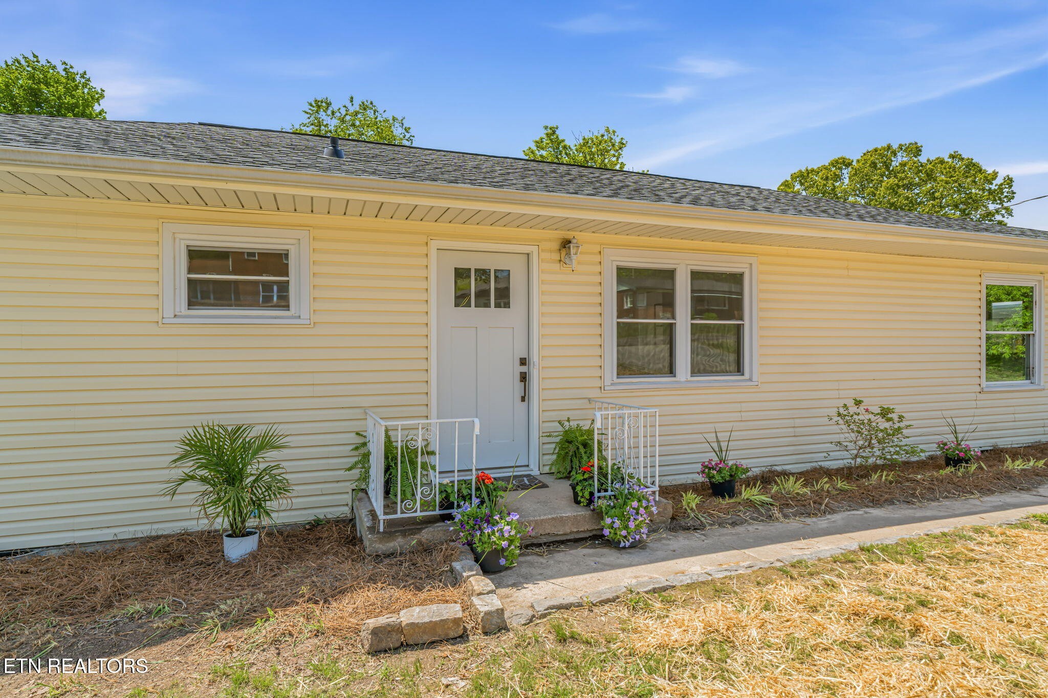 5317 Rowan Road Knoxville, TN 37912 - Photo 3 of 39