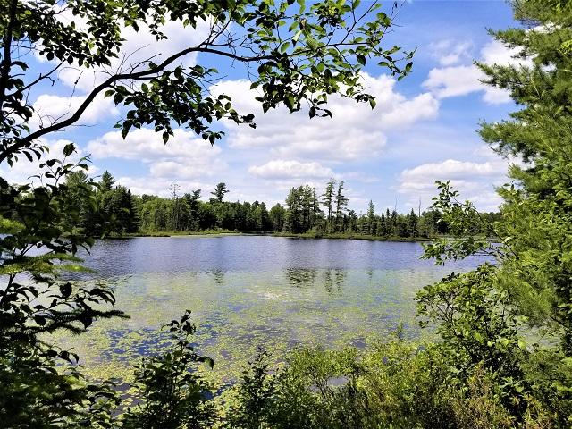 3 Cramer Lake Road Mercer, WI 54547 - Photo 2 of 10 Gallery Image 2