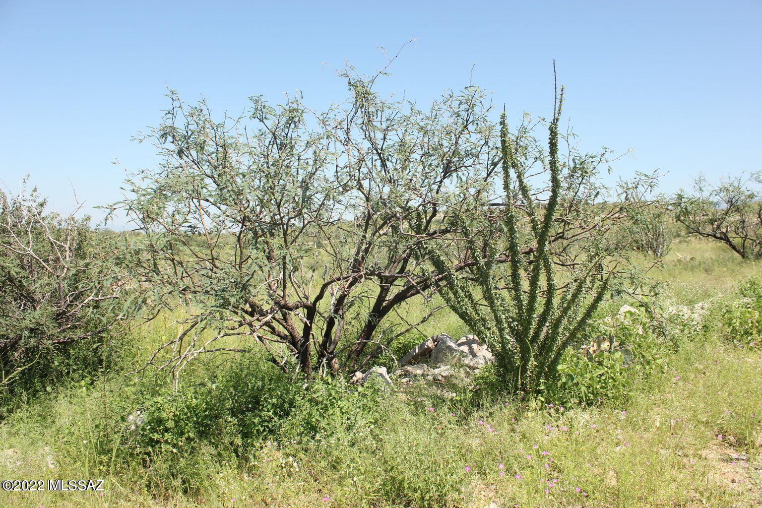 518 Vereda Atun, Unit 24 Rio Rico, AZ 85648 - Photo 2 of 3
