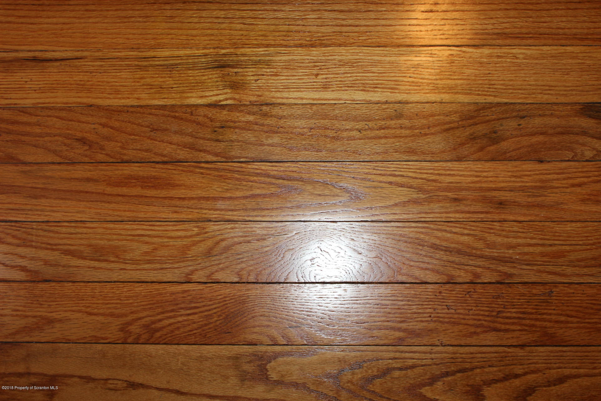 926 Green Ridge Street Scranton, PA 18509 - Photo 23 of 33 Gallery Image 23