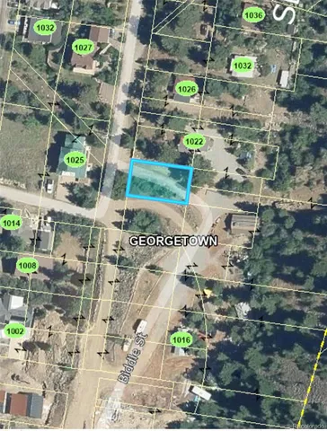 $150,000 | 1016-7 Biddle Street, Georgetown, CO 80444